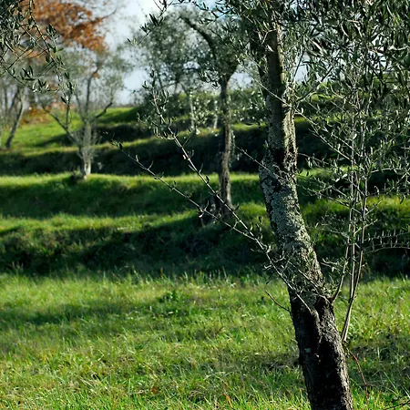 Relais Parco Fiorito&spa - Agriturismo, Ristorante E Fattoria Didattica *